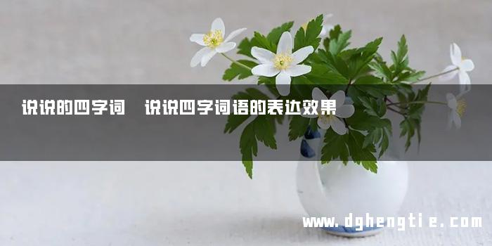 说说的四字词 说说四字词语的表达效果